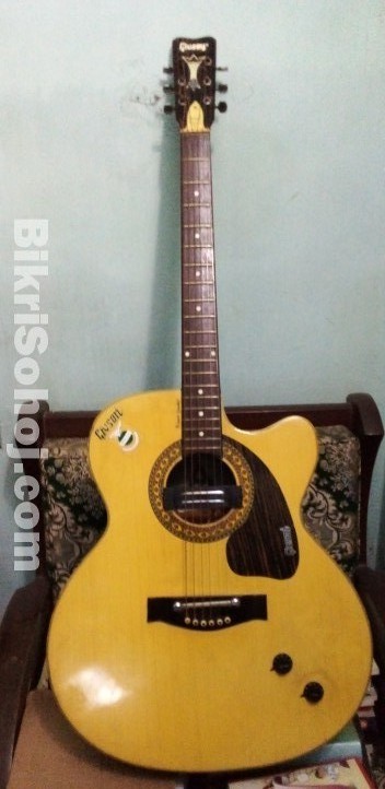 Gibson Venus Super Semi Electric Acoustic Guitar